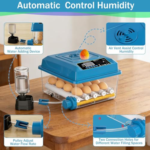 16 Eggs Incubators for Hatching Eggs, Egg Incubator with Automatic Egg Turning, Chicken Egg Incubator with Humidity and Incubation Day Display, Incubator with Egg Candler for Poultry(Blue) - color: Blue, size: 16 Egg