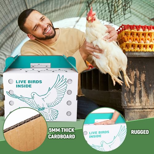 15 Pack Single Live Chicken Shipping Boxes 17.5 x 8.5 x 11.5" Live Bird Shipping Boxes Cardboard Pet Carrier with Handle for Poultry, Pigeons, & Canaries (Green) - color: Green