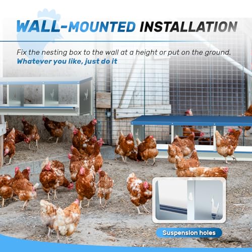 Chicken Nesting Box for Laying Eggs 3 Holes Metal Nest Box for Chicken Hens Ducks Poultry Protect Eggs Chicken Coop Easy Egg Collection Wall Mount Nest Box for Chicken Coop - size: 3 Compartments