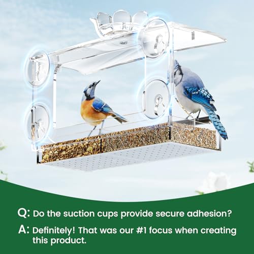 DY-SKTY Clear Acrylic Window Bird Feeder with Strong Suction Cups, Detachable Tray – Easy to Clean, Birds Viewing for Cats, Outdoor Wild Bird Watching Gift, Outside Garden Decor
