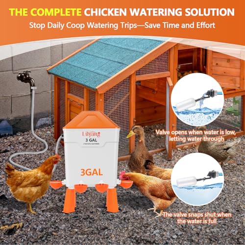 Lilyang 3 Gallon Automatic Chicken Waterer & Feeder Set, Auto Water Refill | Anti-Spill Ports & Stay-Clean Cups, Auto Watering System with Float Valve, No-Waste Poultry Feeder, No-Tools Assembly - color: Bright Orange