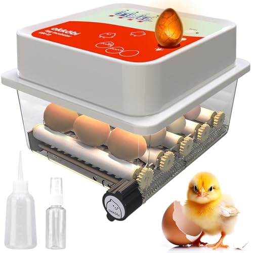 OBI-12 Incubator for Hatching Eggs – 12 Eggs, Easy to Use, Stable Temperature & Humidity Control with Eggloo Insulation - Orange
