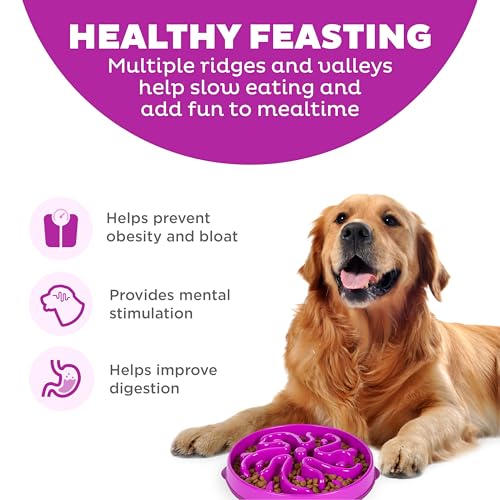 Outward Hound Fun Feeder Slo Bowl – Large 4‑Cup Capacity, Slow Feeding, Medium to Large Dogs, Non‑Slip, Purple, Flower Pattern - color: Purple, size: Large