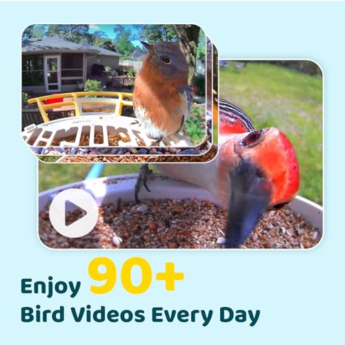 NETVUE by Birdfy Smart Bird Feeder with AI Camera, Auto Capture Videos & Live Steam, Wireless Wildbird Watching, Outdoor Backyard Birder(AI by Subscription) Yellow - color: Yellow