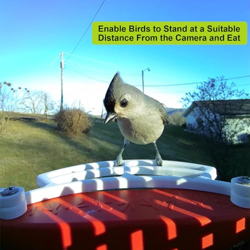 Wider Extension PerchDaily Add-on Accessories | Easy Install Durable Stand Compatible with Bird Buddy