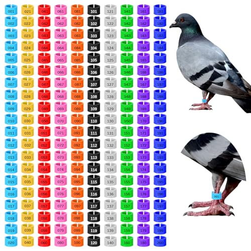 200 Pcs 8mm Chick Leg Bands, Colorful Numbered Bird Quail Leg Rings Identification Legs Bands Baby Chicken Supplies Poultry Tags for Chick Bantam Finch Dove Small Birds (Ten Colors)