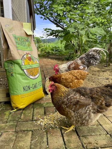 Non-GMO Soy and Corn Free Whole Grain Layer Blend 16% - Chicken Feed for Laying Hens and Ducks - Includes Essential Oils, Herbs, Oyster Shells, Vital Minerals, and Omega 3, 10 lb - size: 10 Pound (Pack of 1), style: Whole Grain Layer