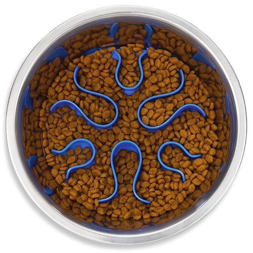 Outward Hound Fun Feeder Stainless-Steel Slo Bowl for Dogs – Medium 2‑Cup Capacity, Slow Feeding, Removable Puzzle Maze, Non-Slip, Fits Raised Feeding Platforms - color: Stainless Steel, size: Medium