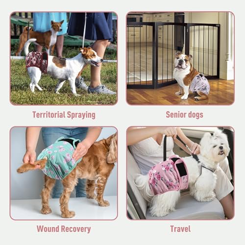 Washable Reusable Female Dog Diapers(5 Pack) Small Medium Large Doggie Puppy & Doggy Dog Diaper, Period Panties in Heat Medium Butterflies and Dragonflies - color: Butterflies & Dragonflies, size: Medium