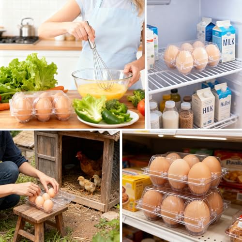 24 Packs Egg Cartons 2x3 Plastic Egg Carton Cheap Bulk Reusable Egg Carton | Egg Tray for 6 Eggs, Plastic Clear Egg Carton - size: Holds 6 eggs-24Pack