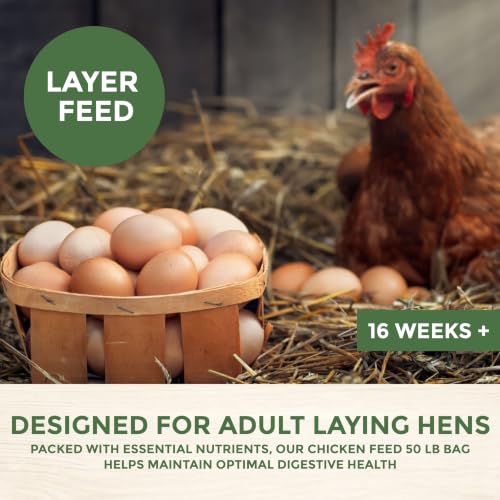 New Country Organics | Corn-Free Classic Layer Chicken Feed for Laying Hens | Corn-Free and Soy-Free | 17% Protein | Certified Organic and Non-GMO Chicken Food | 50lbs Bag - size: 50 Pound (Pack of 1)