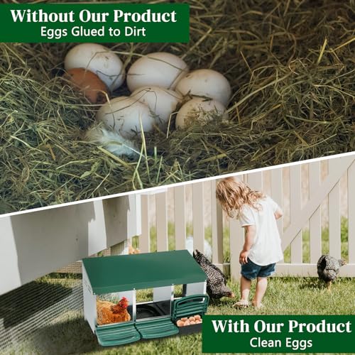 Outvita Chicken Nesting Boxes, 3 Compartments for Chicken Coop, Green | Chicken Egg Laying Box, Nesting Boxes for Chickens with Swing Perch and Roll Away Egg Collection - color: Green, size: 31.9"L x 20.5"W x 18.5"H