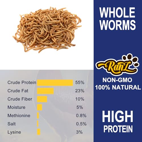 RANZ 20LBS Non-GMO Dried Mealworms for Chickens, High Protein Meal Worms, Premium Chicken Feed, Whole Large Mealworms for Blue Birds, Ducks, Fish - size: 20 Pound (Pack of 1)