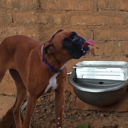 Automatic Dog Water Bowl Dispenser Large Size Pet Waterer Feeder Stainless-Steel Water Trough for Poultry and Small Livestock