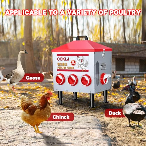 8-Port Poultry Feeder for Backyard Flocks – Holds 55 LBS, Stops Pecking Order Bullying, Adjustable Height, Galvanized Steel & Stainless Steel