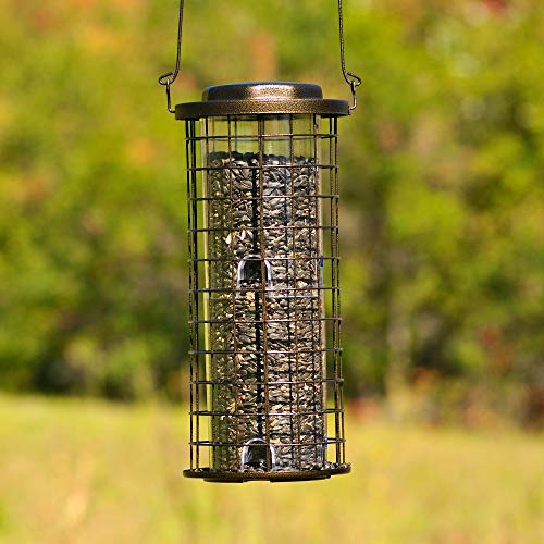 Perky-Pet 114 Squirrel Stumper Wild Bird Feeder