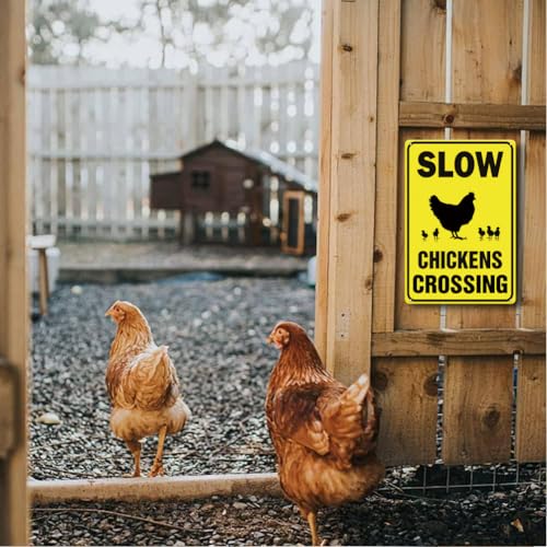 Chicken Crossing Sign - 8 x 12 inch Metal Aluminum Slow Chicken Signs for Coop, Farm, Outside, Chicken Themed Birthday Party, Rural Roads & Backyard, Gift for Chickens Lovers - color: Chicken-Yellow/Black
