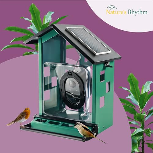 Bird Feeder Squirrel-Proof Bird Feeder with Camera Watch the Birds Feed