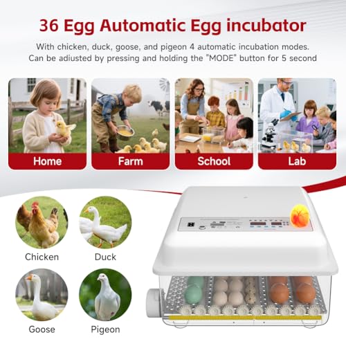 36 Egg Incubator with Automatic Egg Turning and Humidity Control, Incubators for Hatching Eggs, Chicken, Ducks, Goose, Pigeon, Quail, Parrot Incubator for Farm, Lab, Home (White)