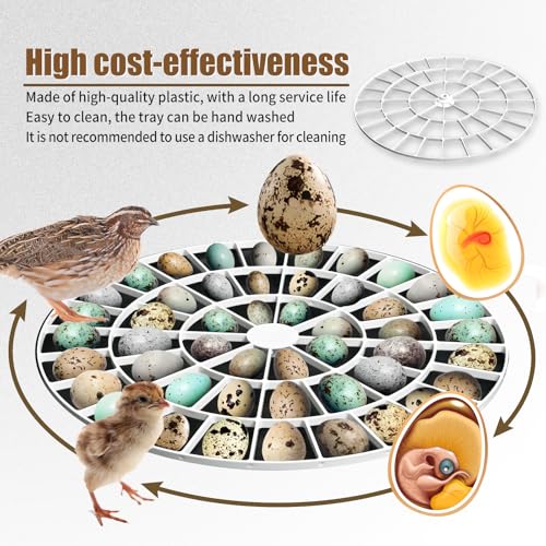 Quail/Bird Egg Turner Tray Compatible with Nurture Right 360 Incubator Tray | Quail Birds Egg Turner Tray, 48 Slot Small Egg Rotating Tray -Egg Turning Rack Easy Use, Vanshly