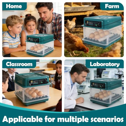 12 Eggs Incubators for Hatching with Auto Turning and Humidity Display | Temperature Monitoring，Adjustable rollers，Suitable for a variety of poultry eggs，Automatic Egg Turner