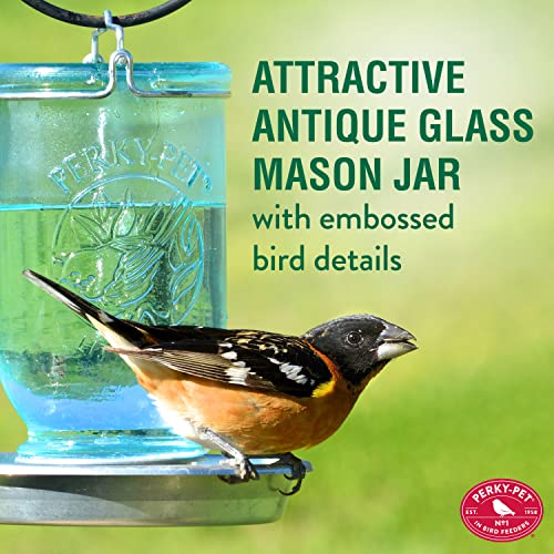 Perky-Pet 1 Mason Jar Wild Bird Waterer 783, Blue - size: 1Pack