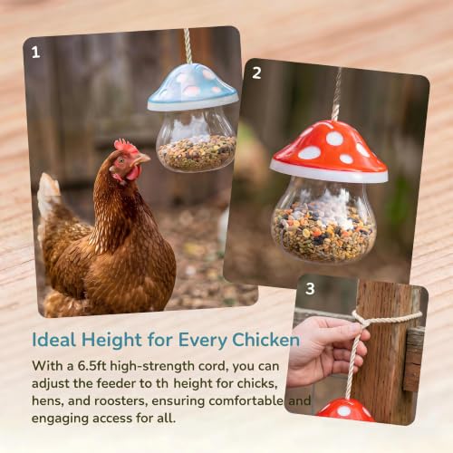 Hanging Chicken Peck Toy，2-Piece Mushroom-Shaped Chicken Enrichment Toys Boredom Busters，Slow-Feed Chicken Toys for Coop-Red & Green (Red & Blue) - color: Red & Blue