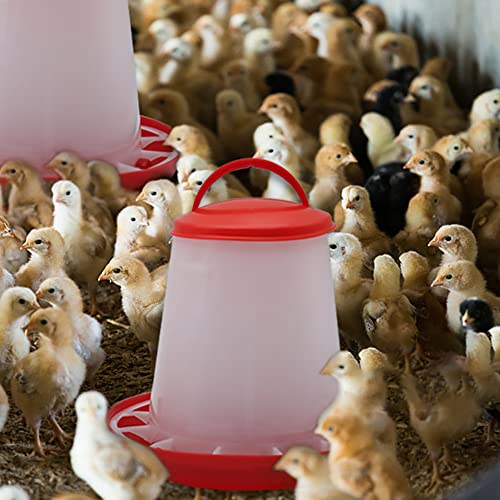 Chicken Feeder and Waterer Kit,1.5KG Feeder and 1.5L Waterer | 2-in-1 Chick Starter Set with 2 Hanging Hooks,Anti-Drown Poultry Waterer for Raising Chicks in Brooder