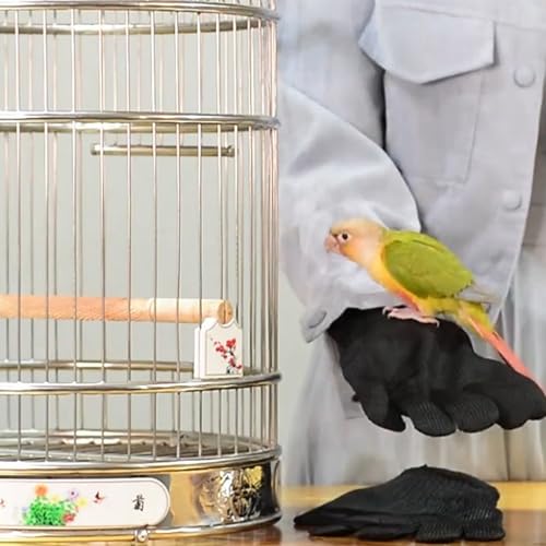 QBLEEV 1 Pair Bird Handling Anti-Bite Gloves, Small Animal Bite Proof Gloves for Training - color: Black