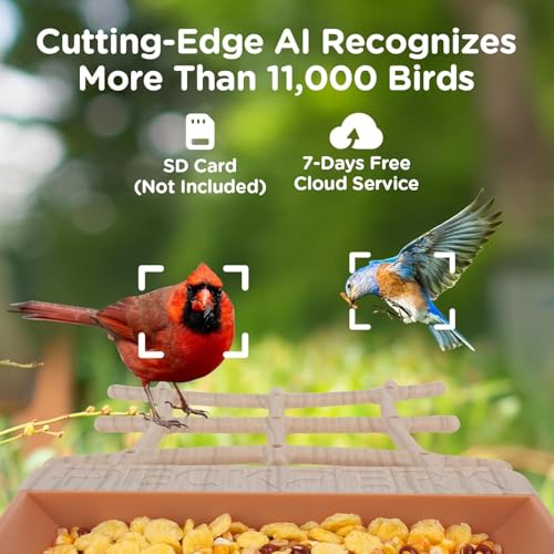 Bird Feeder with Camera Solar Powered, Smart Birds Feeder for Outside, AI Bird Identification Auto Capture Videos Pictures, 2K Live Feed Cam for Backyard, Ideal Gift for Birds Lover (Brown) - color: Brown