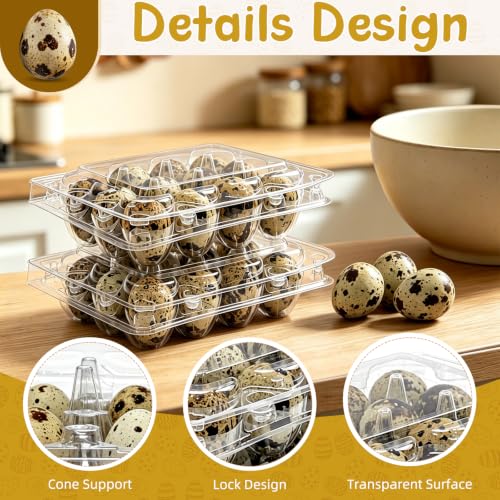 100 Pack Quail Egg Cartons, 12 Count Clear Egg Trays with Lids | Small Egg Storage Holders, Plastic Bulk Egg Boxes for Quail, Pheasant, Pigeon Refrigerator Storage and Display
