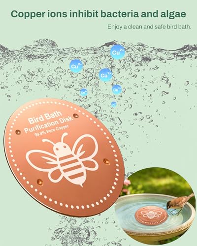 OICEME Bird Bath Purification Disk Pure Copper Outside Birdbath Heater Hanging Bowl Metal Deicer Cage Bowl Feeder Cage Dispenser Water Pedestal Cleaner Nectar Food Pole House Birdhouse Gifts - color: 1 pcs Copper Honeybee