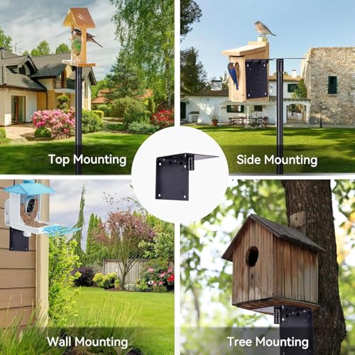 Bird House Pole, Bird Feeder Pole Mount Kit with 5 Prongs for Outdoors Bird House & Smart Bird Feeder(Without Bird House) (1, 76 Inch) - size: 76 Inch