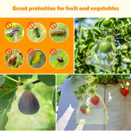 Shintop100Pcs Fruit Protection Bags, 5x7inch Green Strawberry Net Cover | Drawstring Mesh Bags, Fine Mesh Bird/Insect Barrier, Breathable Organza, Gentle on Delicate Stems, Fits Blueberries and Figs - size: 5x7 inch