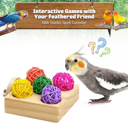 BNOSDM Wooden Bird Foraging Puzzle Toys for Parakeets, Interactive Parrot Enrichment Toys for Training & Chewing, Slow Feeder Cage Accessories for Cockatiels, Conures, Lovebirds and Other Small Birds - color: 8 Pcs Bird Puzzle Toy