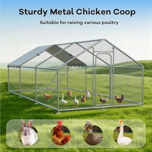 Large Metal Chicken Coop with Roosting Perch and Cover | Spire roof outdoor walk-in cage with waterproof UV-resistant cover, 10' x 19.7' x 6.4' enclosure for chickens - size: 236.4"L x 120.0"W x 76.8"H