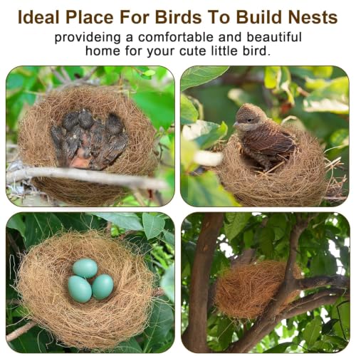 Sukh 3PCS Coconut Fiber for Bird Nest - Bird Nest Bedding for Hummingbird Finch | Coconut Bird Nest Finch Coconut Fiber Loose Bedding Substrate for Laying Eggs, Resting Materials for Birds, Hummingbird Parak
