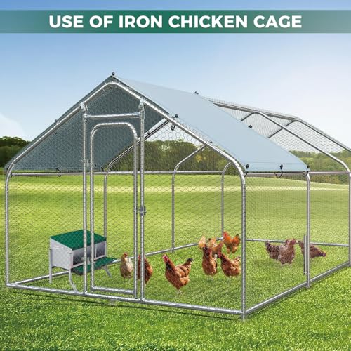 Garvee 3-Hole Rollaway Chicken Nesting Box for Hens –Chicken Nest Box with Removable Trays, Easy Egg Collection & Cleaning, Wall Mount or Freestanding, Sturdy Chicken Laying Boxes, Green - color: Green-3 grids with legs