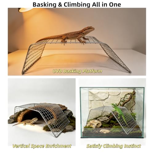 Stainless Steel Reptile Climbing Net – Basking Platform for Bearded Dragon, Leopard Gecko, Blue-Tongued Skink, Turtle – Durable Basking Rock & Ramp for Tank Accessories, Reptile Bed for Sunbathing