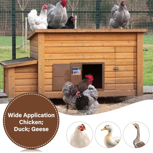 Programmable Chicken Automatic Door with Timer and LCD Display Double Power Supply(USB Charging/Battery Holder) Chicken Coop Door Anti-Pinch Protection for Poultry Coffee