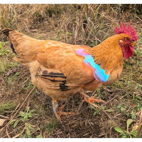 Chicken Saddles for Hens with Detachable Wings, Adjustable Hen Apron Back Protector for Feather Recovery, Double-Layer Breathable Poultry Saver for Standard Breeds (Yellow 2pcs) | Double-Layered Breathable Poultry Back Protector For Hens During Mating And