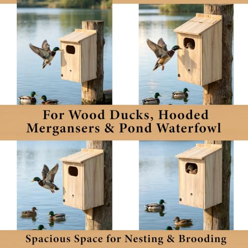 Wood Duck House, Sturdy Weather-Resistant Nesting Box and Shelter | 17x10x10 Inches, Weather-Resistant, for Ducks, Hooded Mergansers & Waterfowl, Ideal for Outdoor Ponds, Wetlands & Backyards