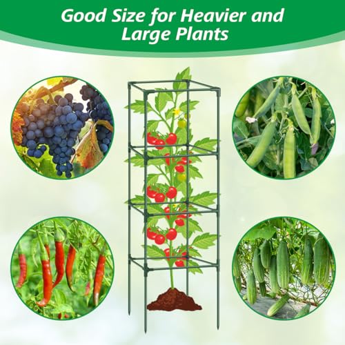 3Pack Tomato Cages for Garden,Square Tomato Plant Cage Support Heavy Duty Pole 57*15.4*15.4 Inches,Steel Plant Tower Stakes,Cherry Tomato Trellis Cucumber for Climbing Vegetables Flowers Fruits-Green - color: Tomato Cages-Green