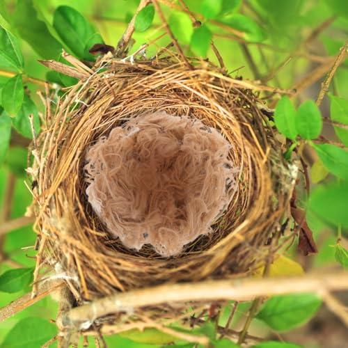 POPETPOP Natural Mixing Bird Nesting Material, Birds Nest Cages Bedding Substrate for Finch Budgie Hummingbird Parakeet - for Building & Hideouts, 40g/1.4 oz
