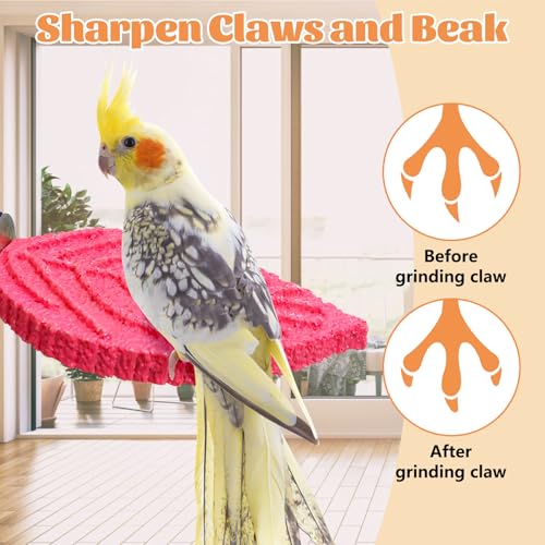 3 Pcs Bird Perch Resin Bird Beak Grinding Stone Leaf Shape Perch Stand Foot Clawing Trimmer Platform Cage Accessories for Cockatiels Conures Budgies Lovebirds (Pink) - color: Pink, size: Leaves