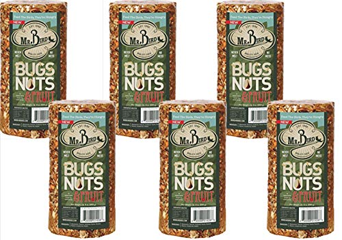 Mr. Bird Bugs, Nuts & Fruit Cylinder, 6-Pack, 1 lb 8 oz | Wild Bird Seed For Outside Feeder | Premium Blend of Mealworms, Sunflower Hearts & Cranberries | No Mess, No Melt - size: 1.5 Pound (Pack of 6)