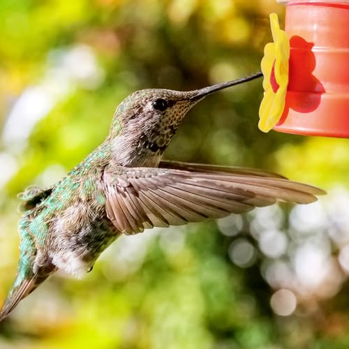16 Pieces Hummingbird Feeders Replacement Flowers Yellow Pet Replacement Bird Feeder Replacement Parts with 2 PCS Brush Feeding Ports Bee Guards for Hummingbird Feeders for Outdoors Hanging Feeder
