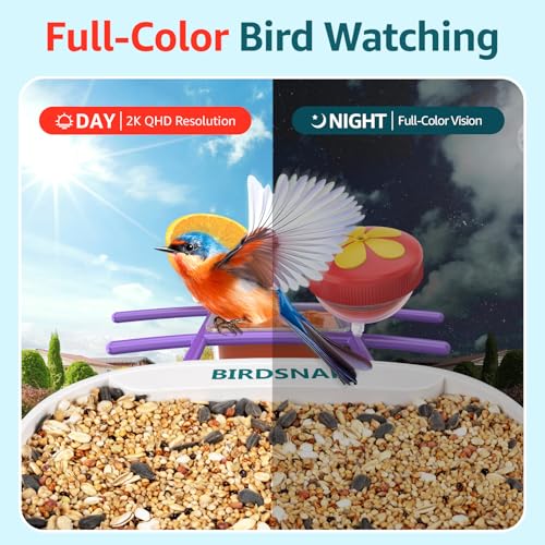 birdsnap® TUC Bird Feeder with Camera Solar Powered 2K Video with 32GB Card | AI Bird Species Identification, Squirrel-Proof, IP65 Waterproof, Outdoor Wireless, 2.4G WiFi, Gift for Mom Dad Bird Lovers - color: Purple