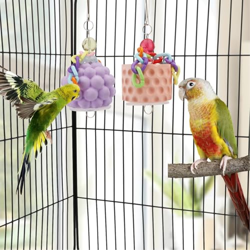 Bird Chewing Toys Bird Beak Grinding Stone Calcium Parakeet Treats for Budgies Cockatiels Conures Quaker Senegal Parrot (Purple) - color: Purple