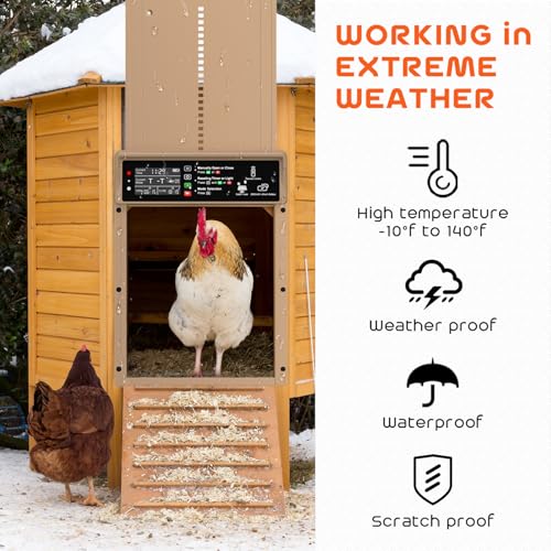 AsFrost Automatic Chicken Coop Door, 7W Solar Panel Powered Brown | Timer & Light Sensor Auto Chicken Door for Small Poultry,Solar Coop Door with Remote Ctrl, Anti-Pinch & Weatherproof Aluminum - color: Brown